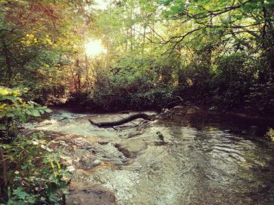 geobiotantra-geobiologie-purification-de-lieu-donation