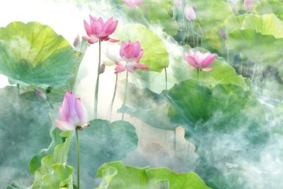 geobiotantra-meditation-nadavidya-lotus-son-mantra