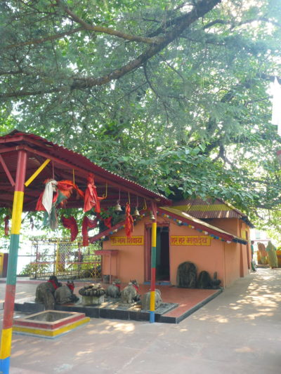 geobiotantra-tantra-yoga-initiation-meditation-nadavidya-joshimath-temple_ shankarasharya-math
