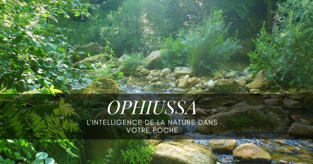 geobiotantra-boutique-ophiussa-eaustructuree