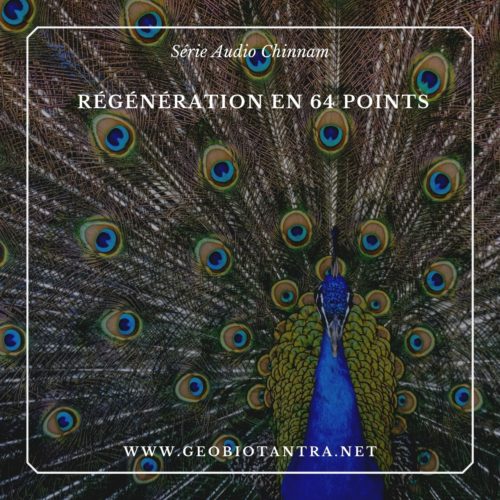geobiotantra-boutique-serie-audio-meditation-guidee-regeneration-en-64-points